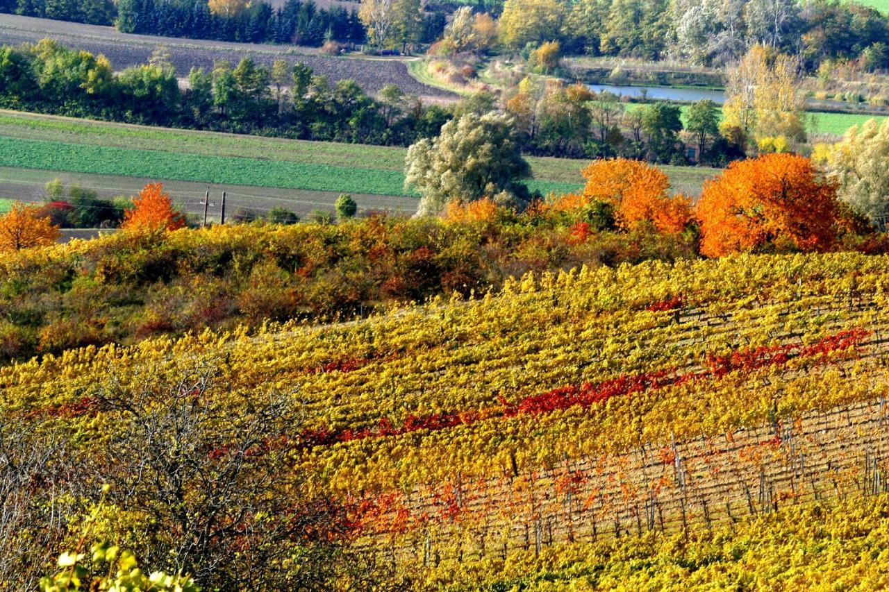Weingut Breitenfelder Retz Kültér fotó