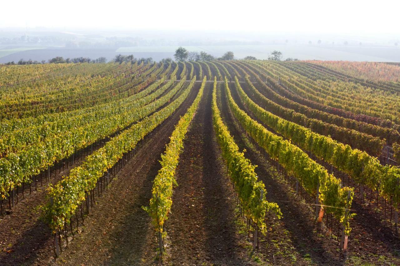 Weingut Breitenfelder Retz Kültér fotó